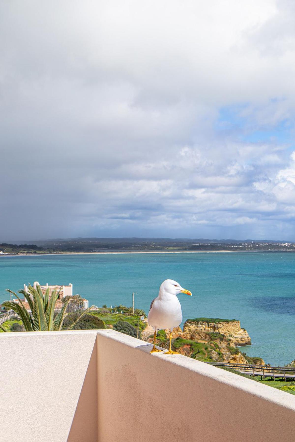 New! By The With Amazing Seaview *