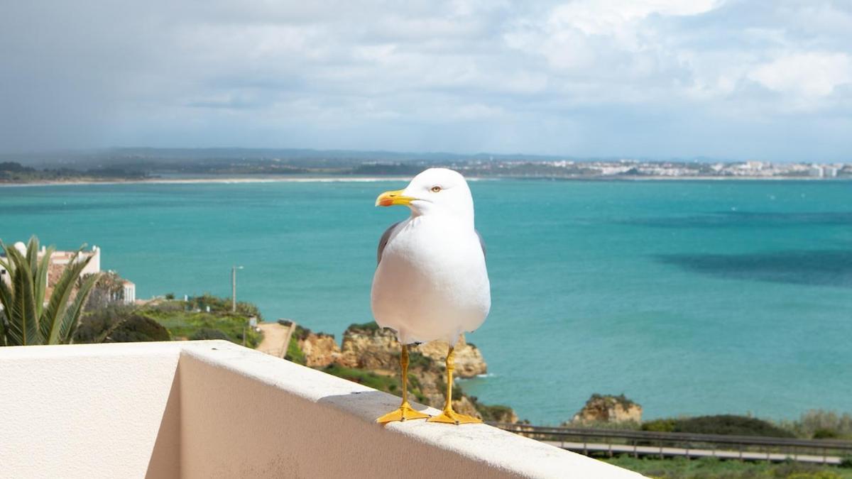New! By The With Amazing Seaview Apartment *